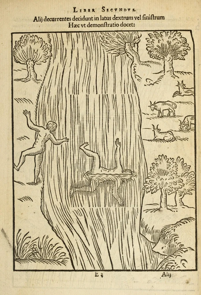 An illustration from De arte natandi libri duo : quorum prior regulas ipsius artis, posterior vero praxin demonstrationemque continet, 1587, leaf 45