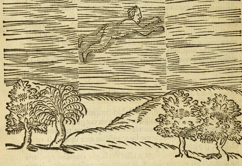 An illustration from De arte natandi libri duo : quorum prior regulas ipsius artis, posterior vero praxin demonstrationemque continet, 1587, leaf 48