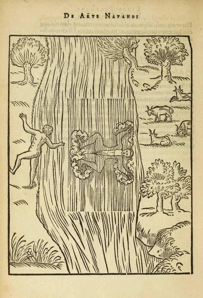 An illustration from De arte natandi libri duo : quorum prior regulas ipsius artis, posterior vero praxin demonstrationemque continet, 1587, leaf 62