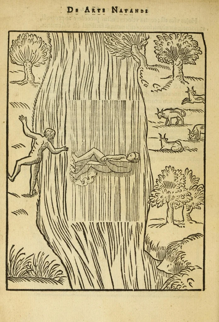 An illustration from De arte natandi libri duo : quorum prior regulas ipsius artis, posterior vero praxin demonstrationemque continet, 1587, leaf 64