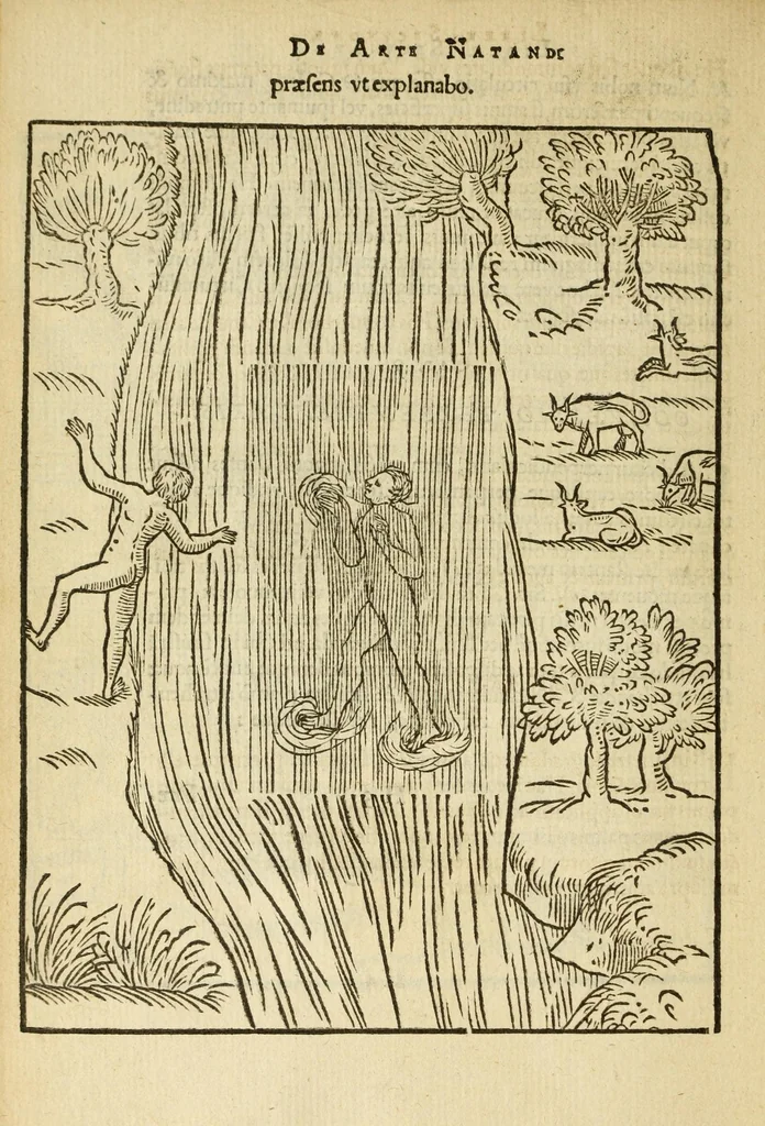 An illustration from De arte natandi libri duo : quorum prior regulas ipsius artis, posterior vero praxin demonstrationemque continet, 1587, leaf 70