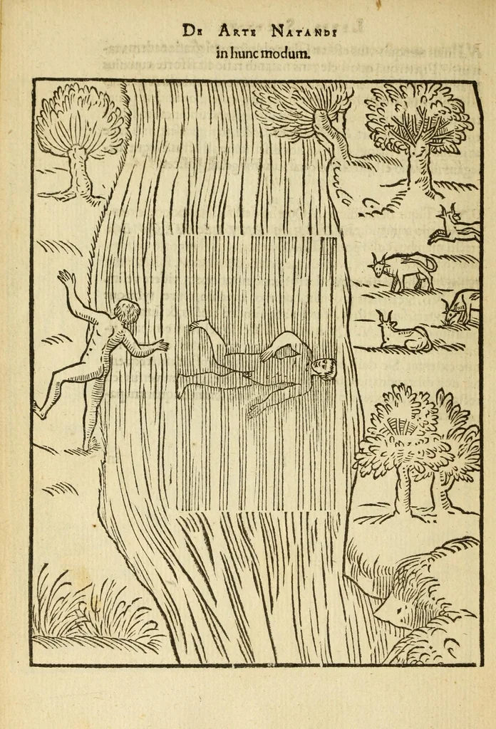 An illustration from De arte natandi libri duo : quorum prior regulas ipsius artis, posterior vero praxin demonstrationemque continet, 1587, leaf 74