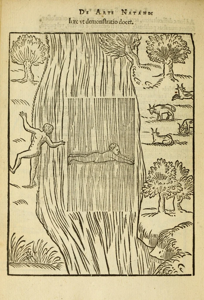 An illustration from De arte natandi libri duo : quorum prior regulas ipsius artis, posterior vero praxin demonstrationemque continet, 1587, leaf 96
