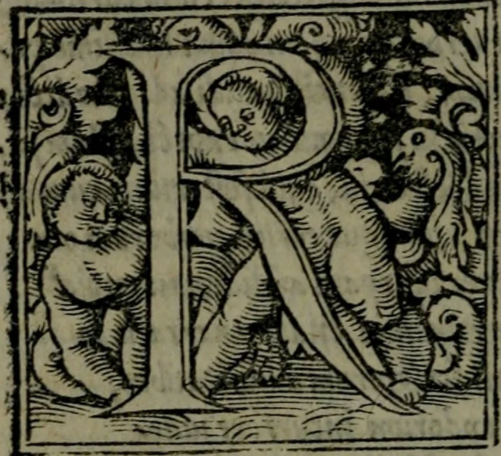 An illustration from De asse et partibus eivs, libri quinque ... nuper recogniti & ampliores facti, à furtógue uindicati ... De asse & partibus eius, breviarivm, 1528, leaf 145