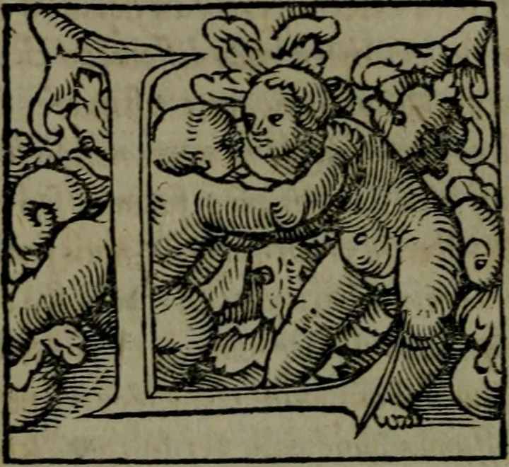 An illustration from De asse et partibus eivs, libri quinque ... nuper recogniti & ampliores facti, à furtógue uindicati ... De asse & partibus eius, breviarivm, 1528, leaf 225