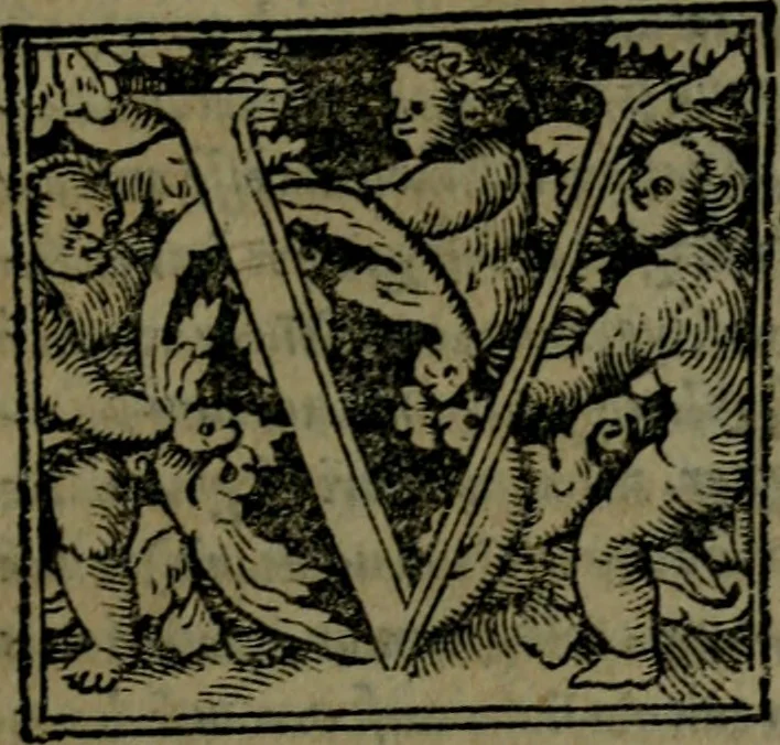 An illustration from De asse et partibus eivs, libri quinque ... nuper recogniti & ampliores facti, à furtógue uindicati ... De asse & partibus eius, breviarivm, 1528, leaf 322