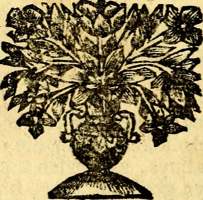 An illustration from De beginselen van Gods koninkryk in den mensch : uytgedrukt in verscheide zinne-beelden : als mede een Alleenspraake met God : benevens eenige Stigtelyke rymen, 1738, leaf 225