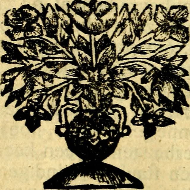 An illustration from De beginselen van Gods koninkryk in den mensch : uytgedrukt in verscheide zinne-beelden : als mede een Alleenspraake met God : benevens eenige Stigtelyke rymen, 1738, leaf 245