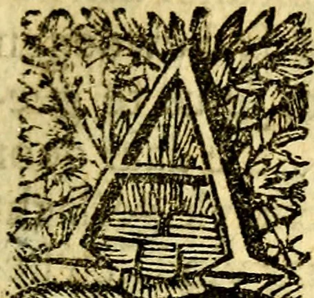 An illustration from De beginselen van Gods koninkryk in den mensch : uytgedrukt in verscheide zinne-beelden : als mede een Alleenspraake met God : benevens eenige Stigtelyke rymen, 1738, leaf 248