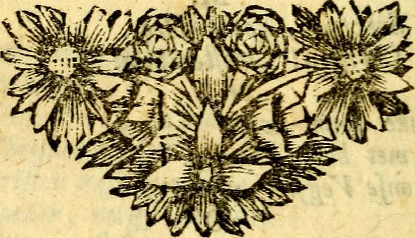 An illustration from De beginselen van Gods koninkryk in den mensch : uytgedrukt in verscheide zinne-beelden : als mede een Alleenspraake met God : benevens eenige Stigtelyke rymen, 1738, leaf 411