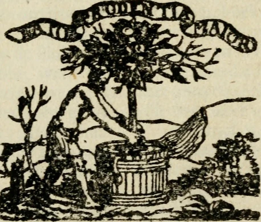 An illustration from De beginselen van Gods koninkryk in den mensch : uitgedrukt in zinnebeelden, 1689, leaf 8