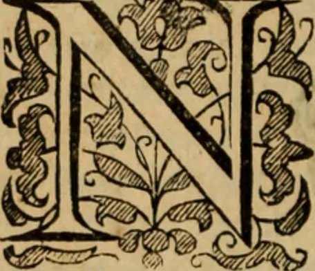 An illustration from De bello belgico : the history of the Low-Countrey warres, 1650, leaf 119
