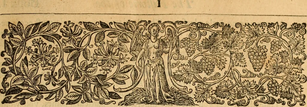 An illustration from De bello belgico : the history of the Low-Countrey warres, 1650, leaf 12