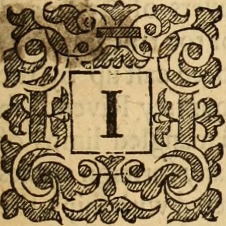 An illustration from De bello belgico : the history of the Low-Countrey warres, 1650, leaf 12