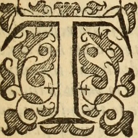 An illustration from De bello belgico : the history of the Low-Countrey warres, 1650, leaf 16