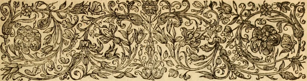 An illustration from De bello belgico : the history of the Low-Countrey warres, 1650, leaf 166