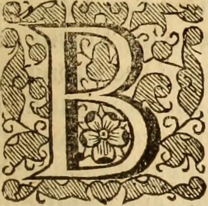 An illustration from De bello belgico : the history of the Low-Countrey warres, 1650, leaf 166