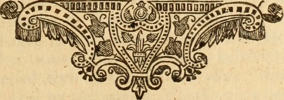 An illustration from De bello belgico : the history of the Low-Countrey warres, 1650, leaf 204