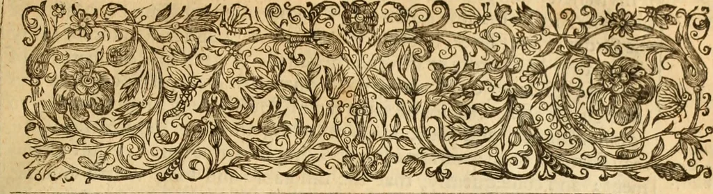 An illustration from De bello belgico : the history of the Low-Countrey warres, 1650, leaf 206