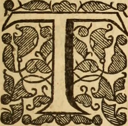 An illustration from De bello belgico : the history of the Low-Countrey warres, 1650, leaf 206