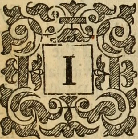 An illustration from De bello belgico : the history of the Low-Countrey warres, 1650, leaf 258