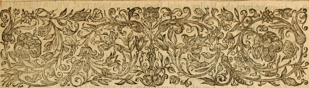 An illustration from De bello belgico : the history of the Low-Countrey warres, 1650, leaf 324