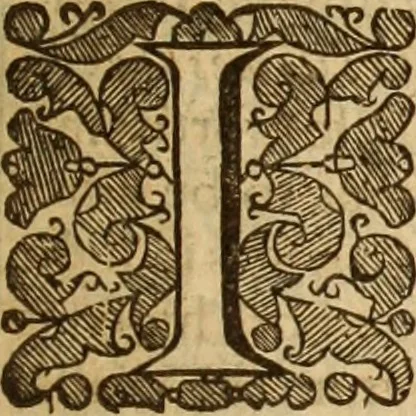 An illustration from De bello belgico : the history of the Low-Countrey warres, 1650, leaf 324