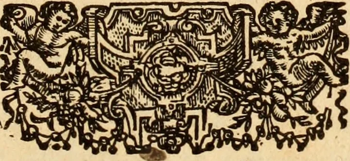 An illustration from De bello belgico : the history of the Low-Countrey warres, 1650, leaf 4