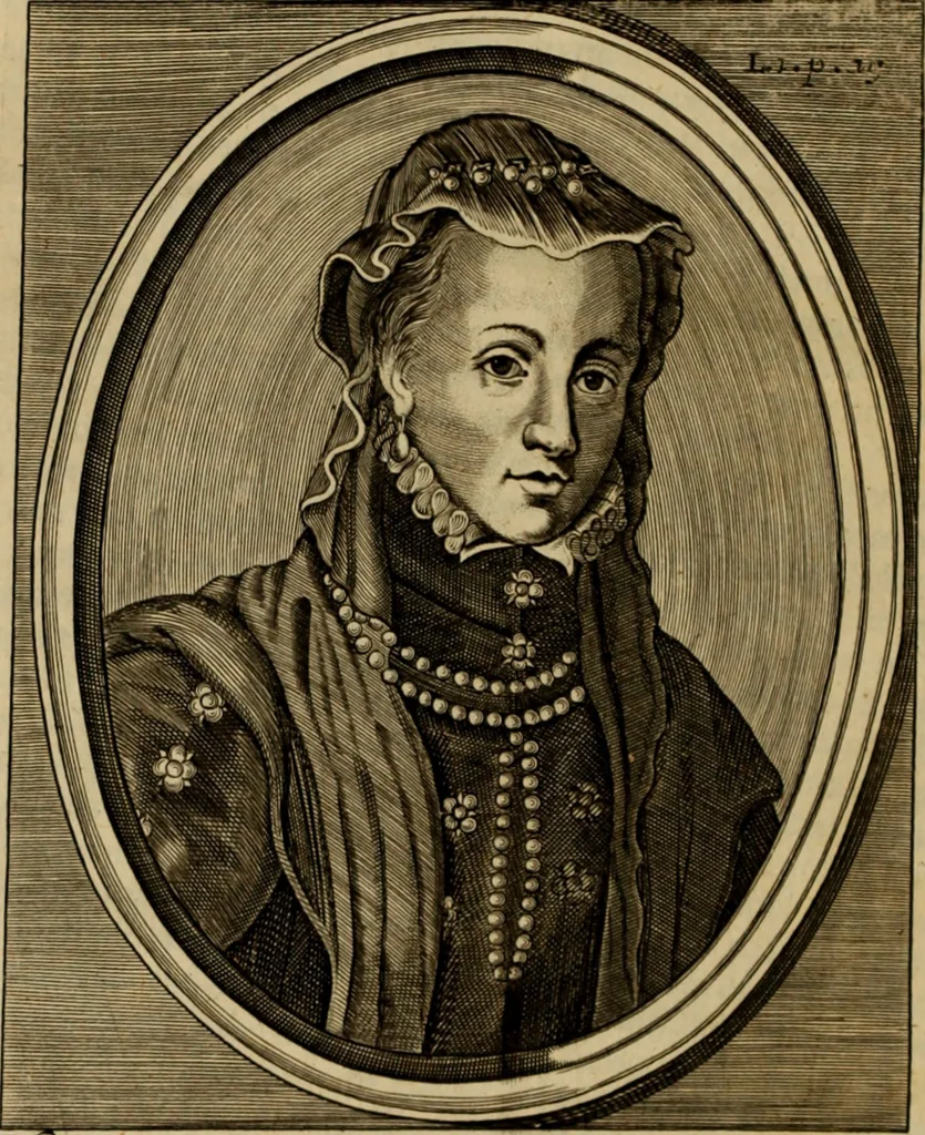 An illustration from De bello belgico : the history of the Low-Countrey warres, 1650, leaf 41