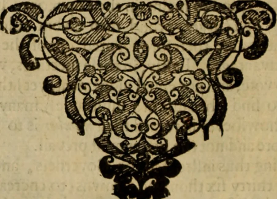An illustration from De bello belgico : the history of the Low-Countrey warres, 1650, leaf 43