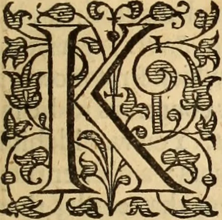 An illustration from De bello belgico : the history of the Low-Countrey warres, 1650, leaf 44