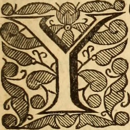 An illustration from De bello belgico : the history of the Low-Countrey warres, 1650, leaf 6