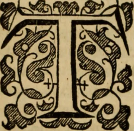An illustration from De bello belgico : the history of the Low-Countrey warres, 1650, leaf 71