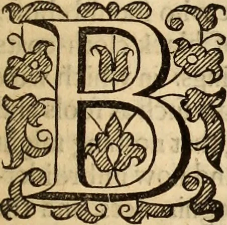 An illustration from De bello belgico : the history of the Low-Countrey warres, 1650, leaf 98