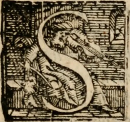 An illustration from De bello a Christianis contra barbaros gesto pro Christi sepulcro, & Iudea recuperandis libri IIII., 1623, leaf 24