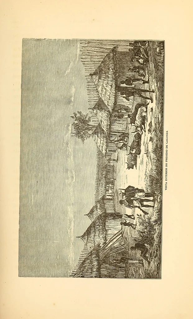 An illustration from De Benguella ás terras de Iácca; descripção de uma viagem na Africa central e occidental. Comprehendendo narrações, aventuras, e estudos importantes sobre as cabeceiras dos rios Cu-nene, Cu-bango, Lu-ando, Cu-anza e Cu-ango, e de grande parte do curso dos dois ultimos; alem da descoberta dos rios Hamba, Cauali, Sussa e Cu-gho, e larga noticia sobre as terras de Quiteca, N'bungo, Sosso, Futa, e Iácca, 1881, leaf 117