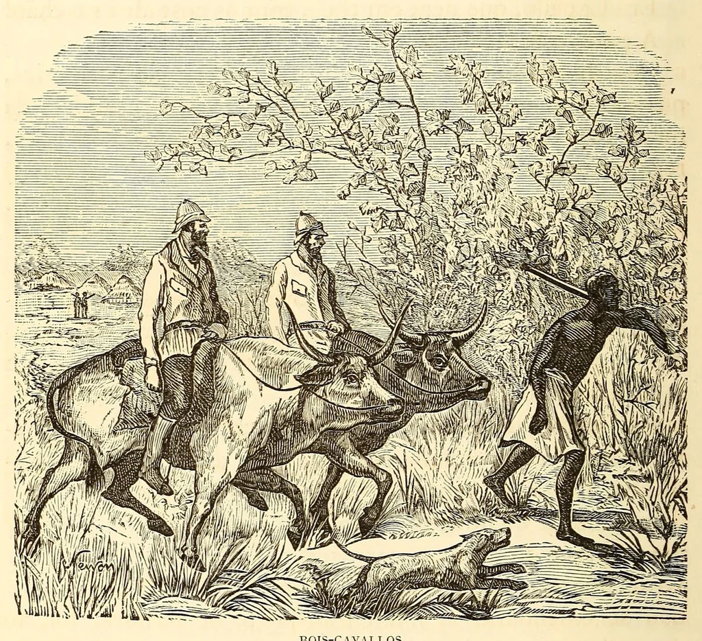 An illustration from De Benguella ás terras de Iácca; descripção de uma viagem na Africa central e occidental. Comprehendendo narrações, aventuras, e estudos importantes sobre as cabeceiras dos rios Cu-nene, Cu-bango, Lu-ando, Cu-anza e Cu-ango, e de grande parte do curso dos dois ultimos; alem da descoberta dos rios Hamba, Cauali, Sussa e Cu-gho, e larga noticia sobre as terras de Quiteca, N'bungo, Sosso, Futa, e Iácca, 1881, leaf 136