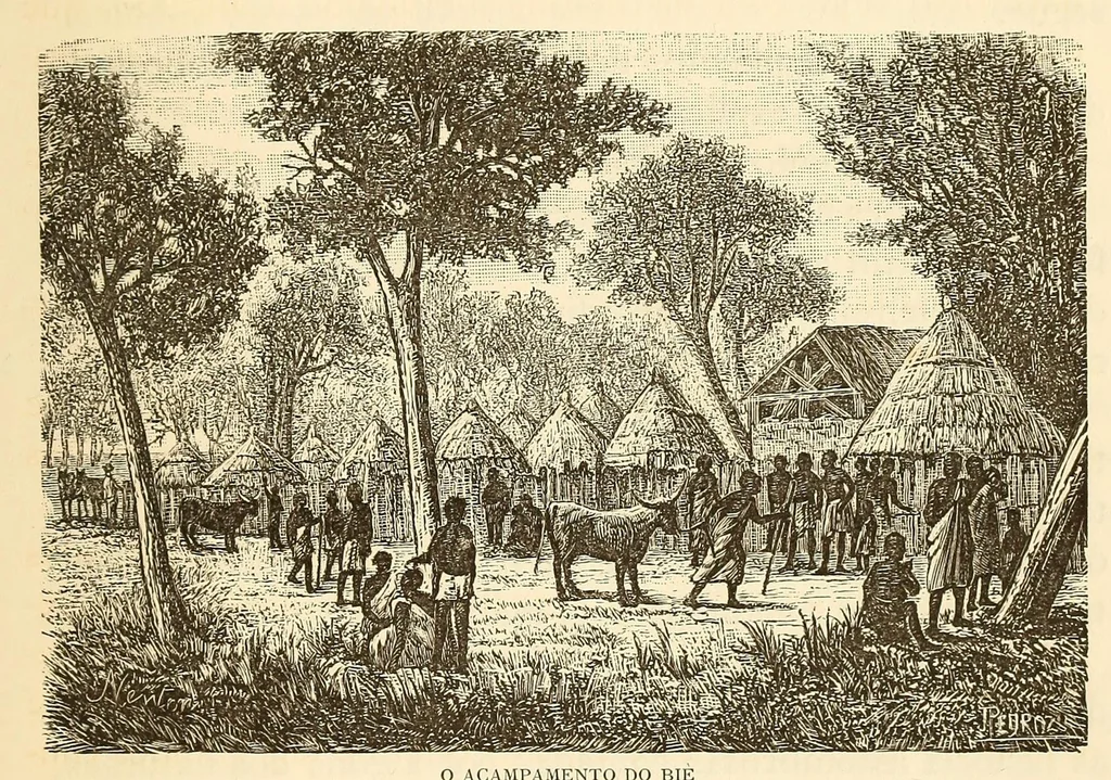 An illustration from De Benguella ás terras de Iácca; descripção de uma viagem na Africa central e occidental. Comprehendendo narrações, aventuras, e estudos importantes sobre as cabeceiras dos rios Cu-nene, Cu-bango, Lu-ando, Cu-anza e Cu-ango, e de grande parte do curso dos dois ultimos; alem da descoberta dos rios Hamba, Cauali, Sussa e Cu-gho, e larga noticia sobre as terras de Quiteca, N'bungo, Sosso, Futa, e Iácca, 1881, leaf 161