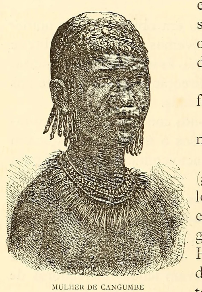 An illustration from De Benguella ás terras de Iácca; descripção de uma viagem na Africa central e occidental. Comprehendendo narrações, aventuras, e estudos importantes sobre as cabeceiras dos rios Cu-nene, Cu-bango, Lu-ando, Cu-anza e Cu-ango, e de grande parte do curso dos dois ultimos; alem da descoberta dos rios Hamba, Cauali, Sussa e Cu-gho, e larga noticia sobre as terras de Quiteca, N'bungo, Sosso, Futa, e Iácca, 1881, leaf 180