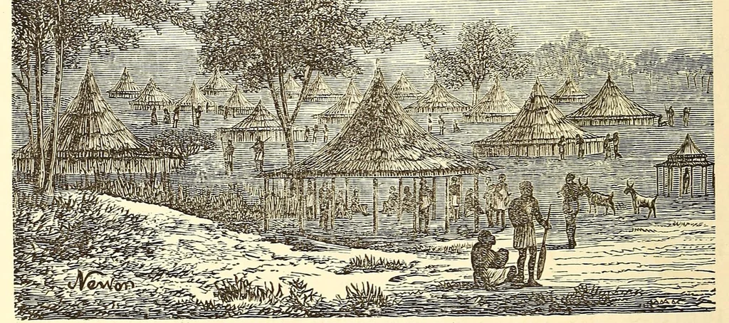 An illustration from De Benguella ás terras de Iácca; descripção de uma viagem na Africa central e occidental. Comprehendendo narrações, aventuras, e estudos importantes sobre as cabeceiras dos rios Cu-nene, Cu-bango, Lu-ando, Cu-anza e Cu-ango, e de grande parte do curso dos dois ultimos; alem da descoberta dos rios Hamba, Cauali, Sussa e Cu-gho, e larga noticia sobre as terras de Quiteca, N'bungo, Sosso, Futa, e Iácca, 1881, leaf 290