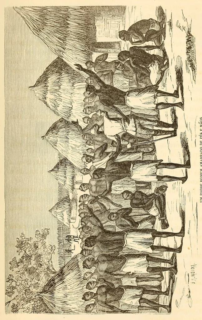 An illustration from De Benguella ás terras de Iácca; descripção de uma viagem na Africa central e occidental. Comprehendendo narrações, aventuras, e estudos importantes sobre as cabeceiras dos rios Cu-nene, Cu-bango, Lu-ando, Cu-anza e Cu-ango, e de grande parte do curso dos dois ultimos; alem da descoberta dos rios Hamba, Cauali, Sussa e Cu-gho, e larga noticia sobre as terras de Quiteca, N'bungo, Sosso, Futa, e Iácca, 1881, leaf 369