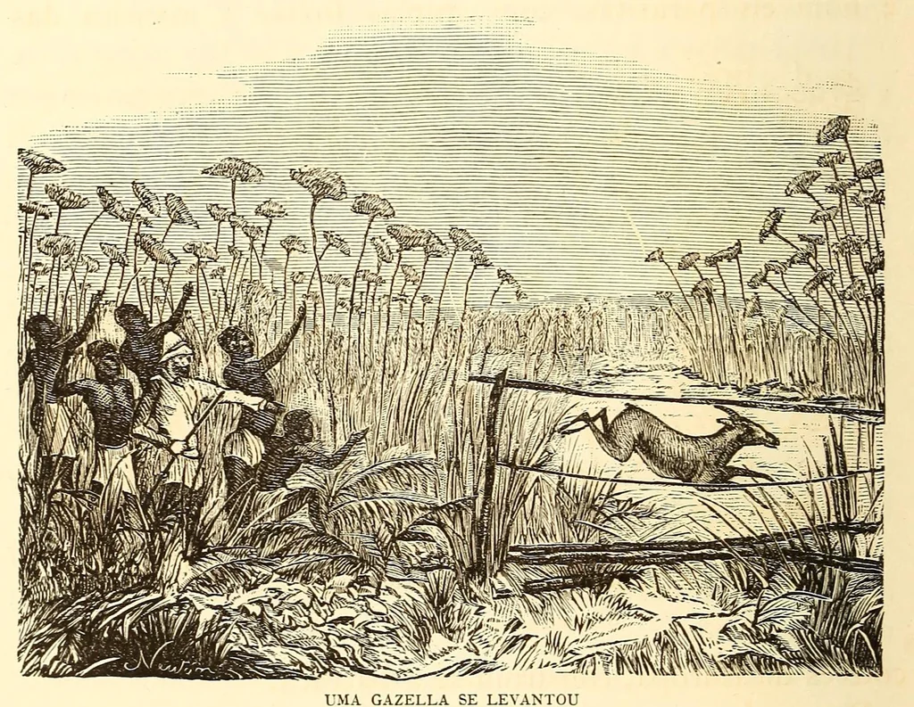 An illustration from De Benguella ás terras de Iácca; descripção de uma viagem na Africa central e occidental. Comprehendendo narrações, aventuras, e estudos importantes sobre as cabeceiras dos rios Cu-nene, Cu-bango, Lu-ando, Cu-anza e Cu-ango, e de grande parte do curso dos dois ultimos; alem da descoberta dos rios Hamba, Cauali, Sussa e Cu-gho, e larga noticia sobre as terras de Quiteca, N'bungo, Sosso, Futa, e Iácca, 1881, leaf 418