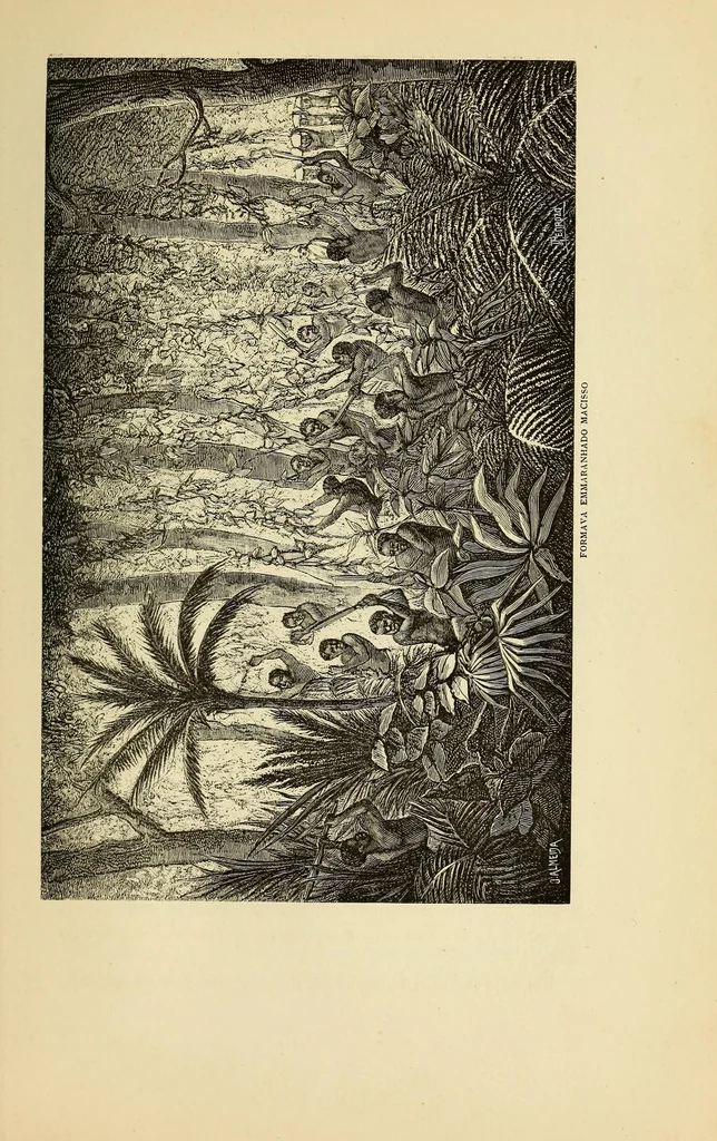 An illustration from De Benguella ás terras de Iácca; descripção de uma viagem na Africa central e occidental. Comprehendendo narrações, aventuras, e estudos importantes sobre as cabeceiras dos rios Cu-nene, Cu-bango, Lu-ando, Cu-anza e Cu-ango, e de grande parte do curso dos dois ultimos; alem da descoberta dos rios Hamba, Cauali, Sussa e Cu-gho, e larga noticia sobre as terras de Quiteca, N'bungo, Sosso, Futa, e Iácca, 1881, leaf 119