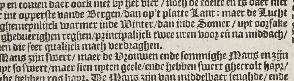 An illustration from De beschryvinghe vant groot ende vermaert coninckrijck van Congo, ende de aenpalende oft ommegheleghen landen, met verclaringhe van veel sonderlinghe saken, ende gheschiedenissen vanden selfden coninckrijcke. ..., 1596, leaf 13