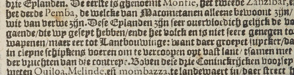An illustration from De beschryvinghe vant groot ende vermaert coninckrijck van Congo, ende de aenpalende oft ommegheleghen landen, met verclaringhe van veel sonderlinghe saken, ende gheschiedenissen vanden selfden coninckrijcke. ..., 1596, leaf 98