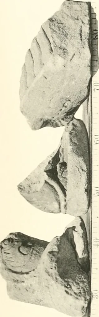 An illustration from Debod bis Bab Kalabsche, 1911, leaf 128