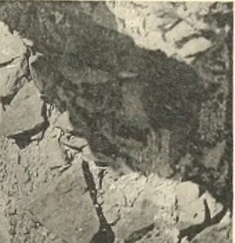 An illustration from Debod bis Bab Kalabsche, 1911, leaf 140