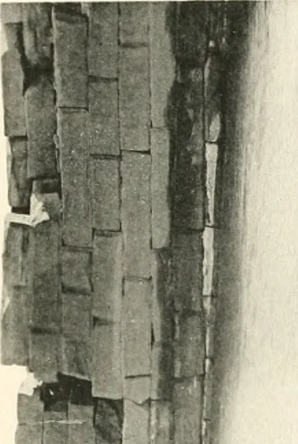 An illustration from Debod bis Bab Kalabsche, 1911, leaf 168