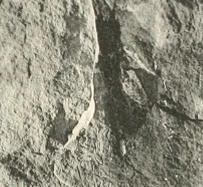 An illustration from Debod bis Bab Kalabsche, 1911, leaf 168