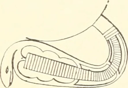 An illustration from Debod bis Bab Kalabsche, 1911, leaf 202